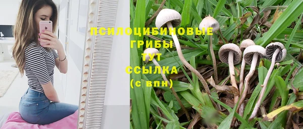 кокаин перу Белокуриха