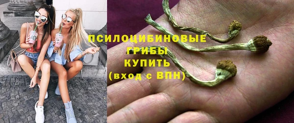 молекула духа Белоозёрский