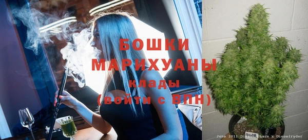 молекула духа Белоозёрский