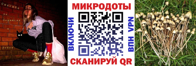 Галлюциногенные грибы GOLDEN TEACHER  хочу наркоту  Красноярск 